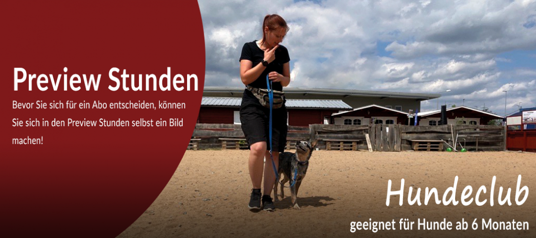 Preview-Stunde: Hundeclub