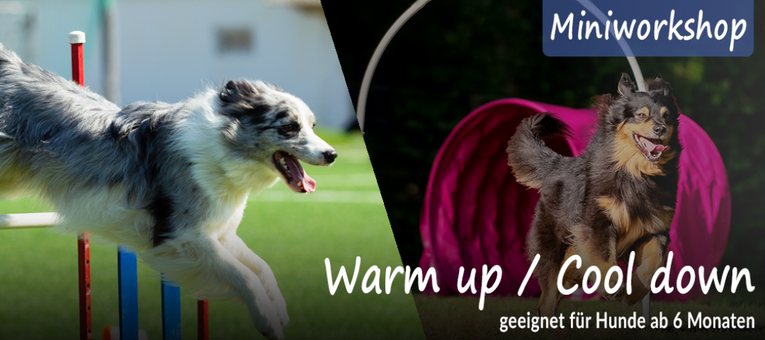 Miniworkshop: Warm Up / Cool down für unsere Hundesportler!